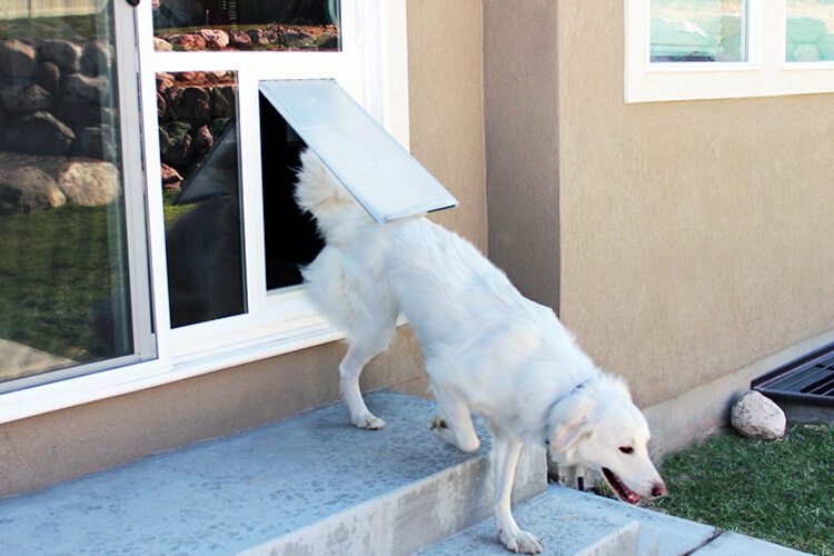 Electronic Pet Doors Perth