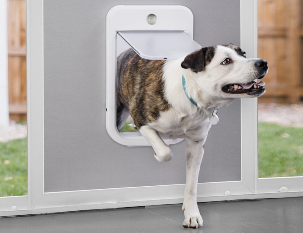 Curated visual reference: Easy Installation Automatic Pet Door Reference: Electronic Pet Door Installation Perth
