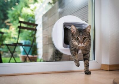 Cat Door Installation Cost, Paw pet doors perth