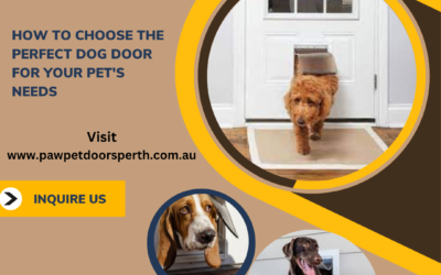 How to Choose the Perfect Dog Door for Your Pet’s Needs