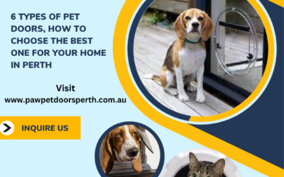 6 Types of Pet Doors, How to Choose the Best One for Your Home in Perth