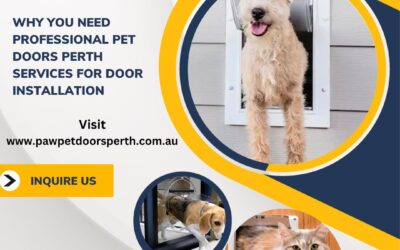 Why You Need Professional Pet Doors Perth Services for Door Installation