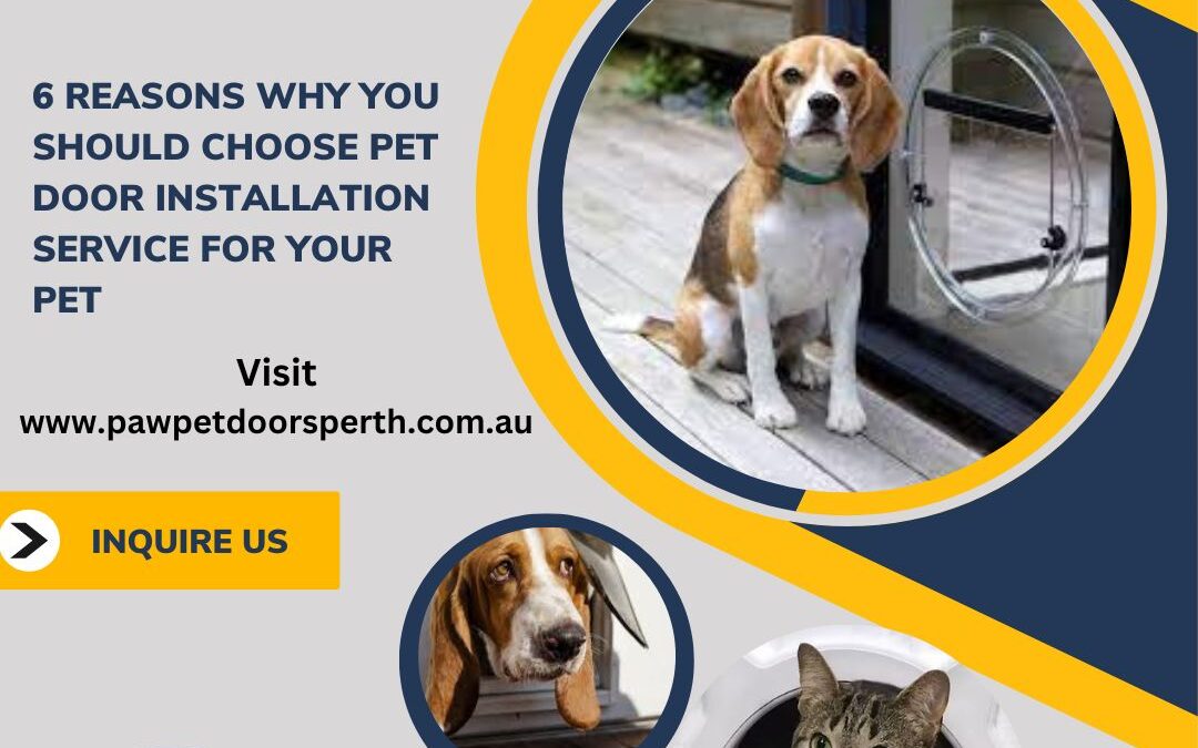 6 Reasons Why You Should Choose Pet Door Installation Service for Your Pet