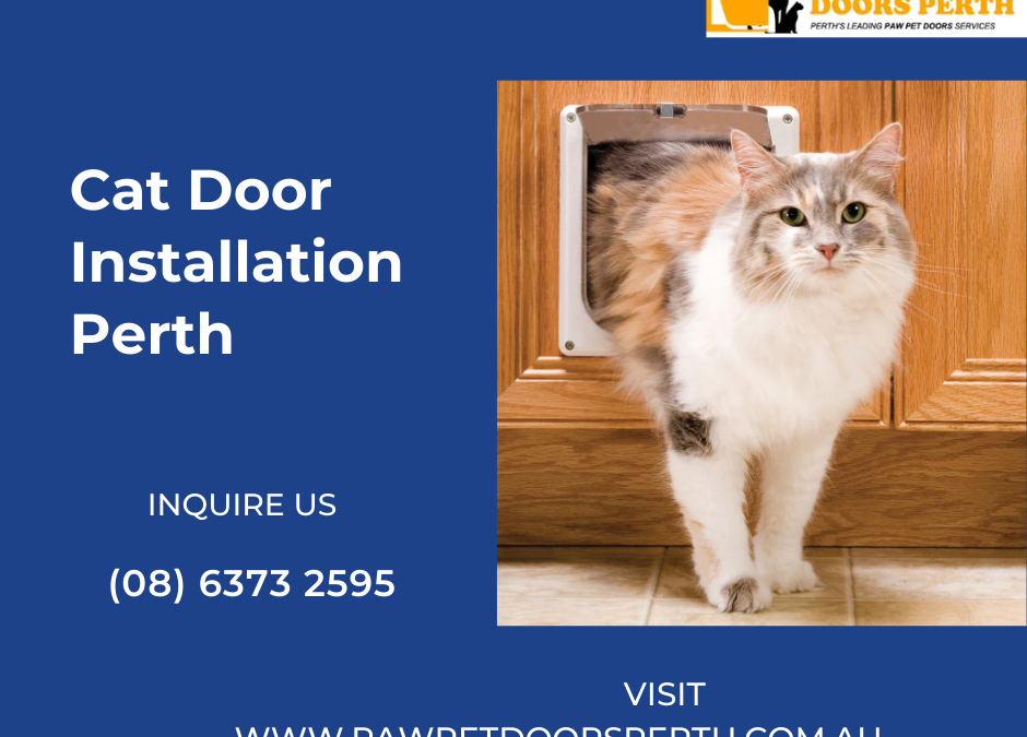 Cat Door Installation Perth – Safe & Easy Access for Your Pets