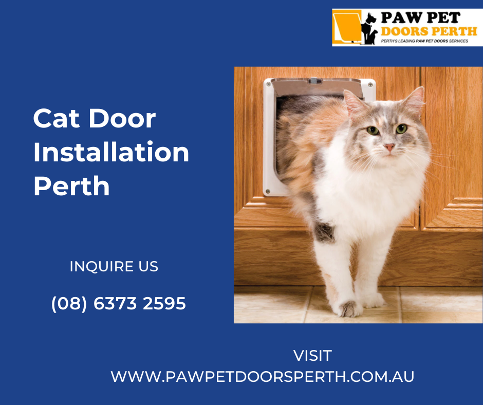 Cat Door Installation Perth Cat Door Installation Perth